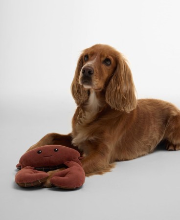 Jouet pour chien Crabe Barbour (2e image)