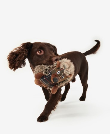 Jouet pour chien Hérisson (2e image)